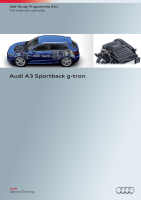 SSP 621 Audi A3 Sportback g-tron 